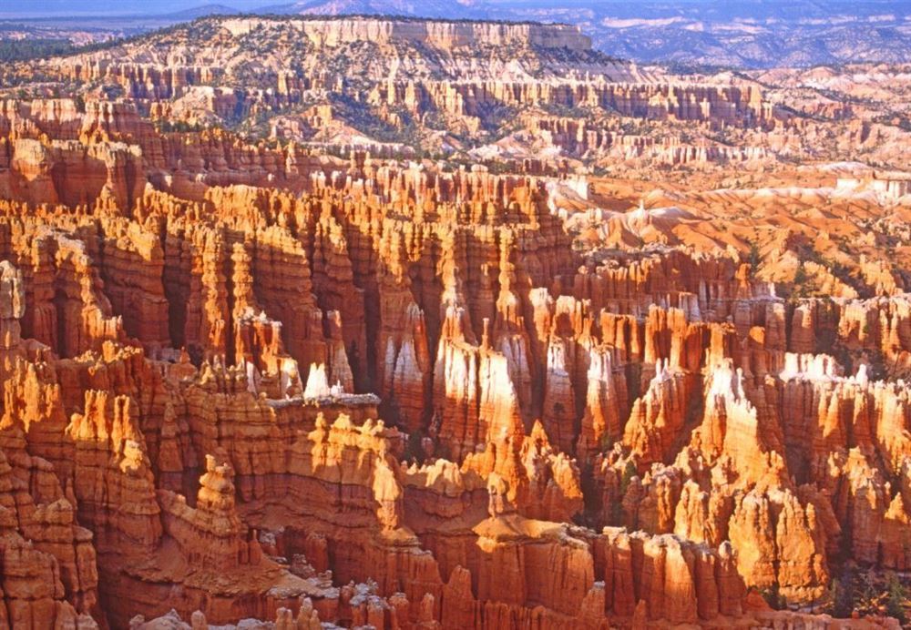 TeamTour West + Mini Yosemite & San Francisco — 7